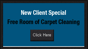 On-site at Spotless Carpet Care, Chandler, AZ